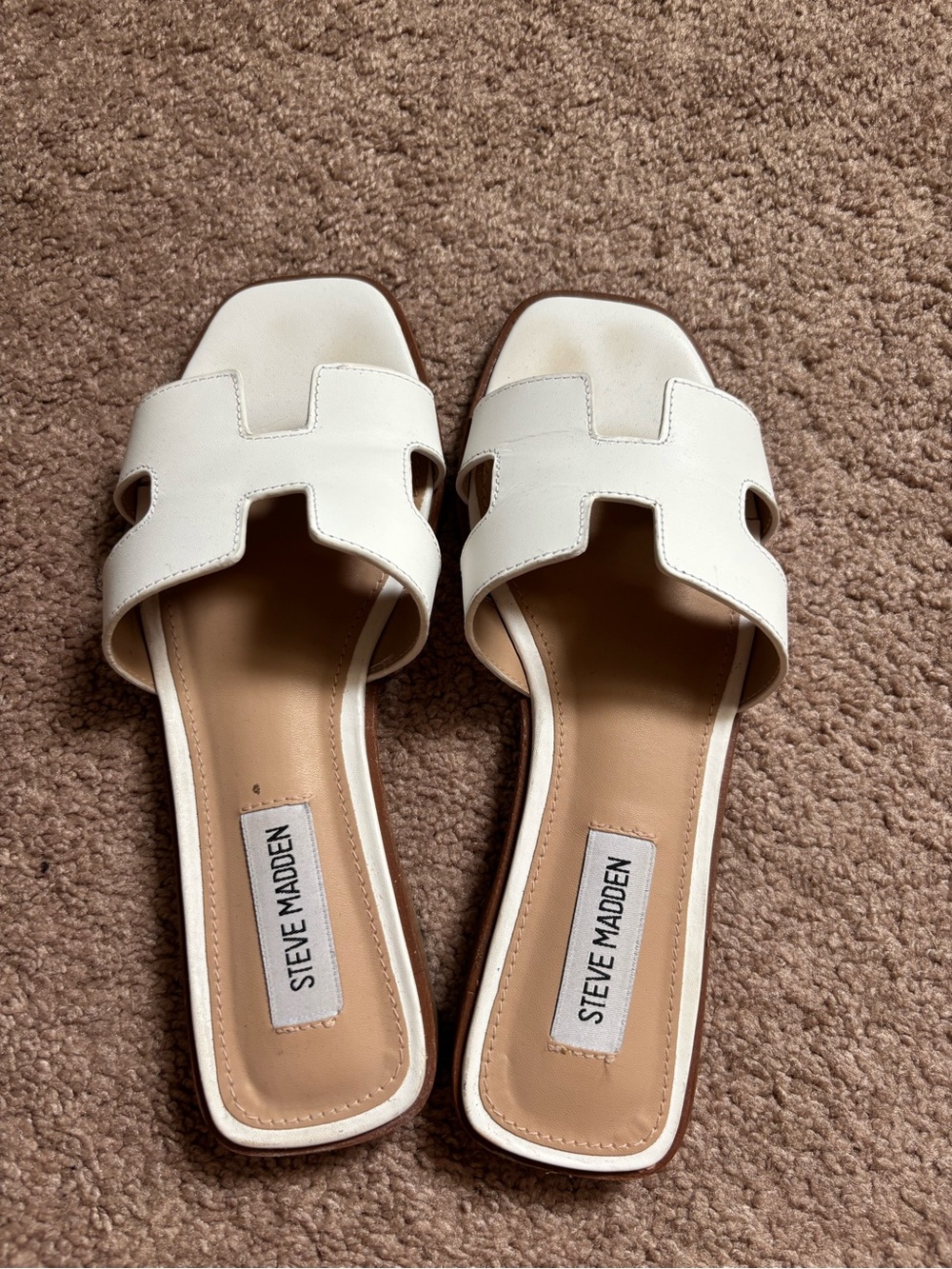 Steve Madden Women's Hadyn Sandal